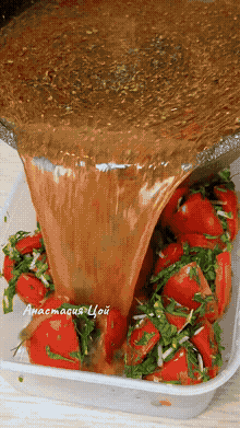 Маринованные помидоры